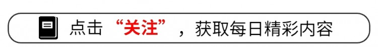 十种常见的宠物狗收藏！看完一篇优缺点！