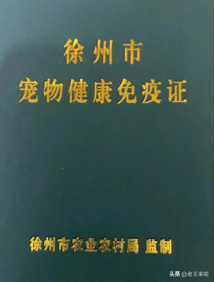 注意徐州养宠物！健康免疫证今年统一发放，赶紧领取