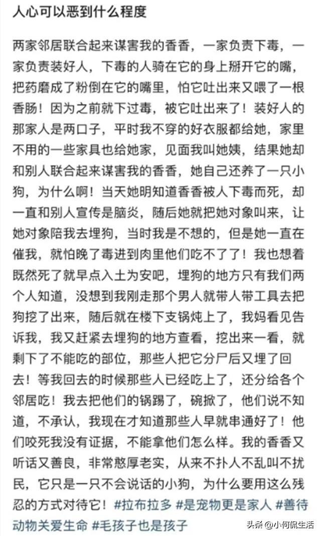 宠物狗疑被邻居投毒致死，埋葬后又被邻居挖出分食，主人：已报警